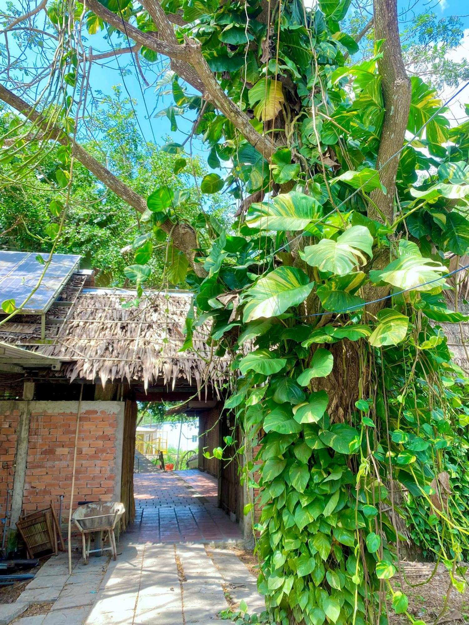 Homestay Mekong Can Tho Esterno foto